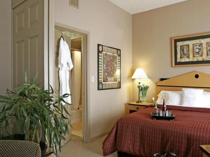 فندق هيوستنفي  أجنحة شيراتون هيوستون نير ذا غاليريا الغرفة الصورة